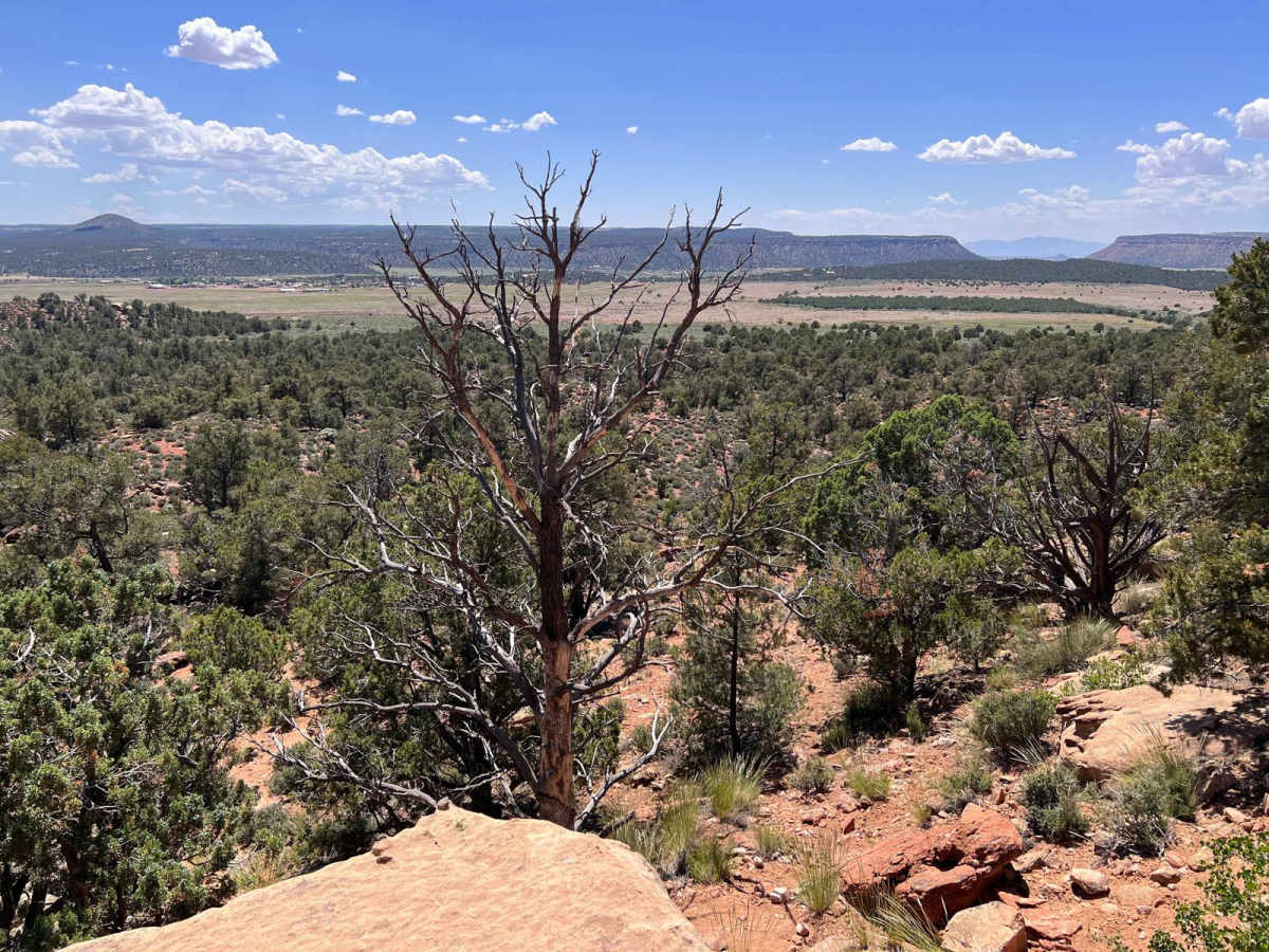 Yellowman/Gooseberry Mesa photo 2