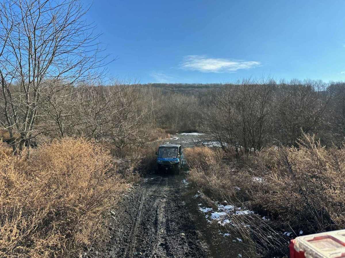 Locust Gap 1 photo 3