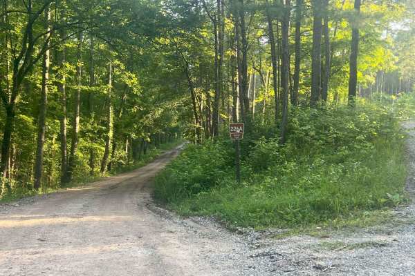 Dry Creek Branch A - Forest Road 226A
