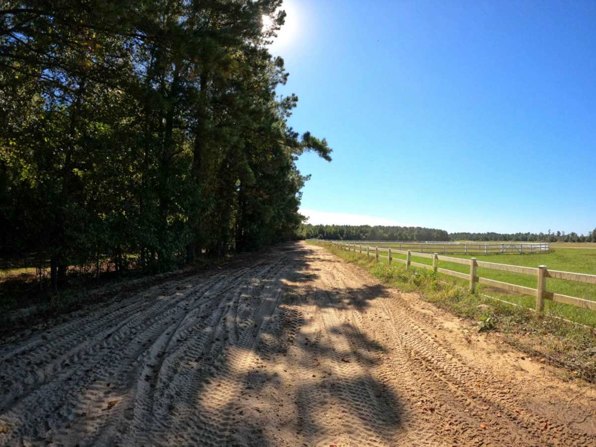 Restoration Trail trail photo