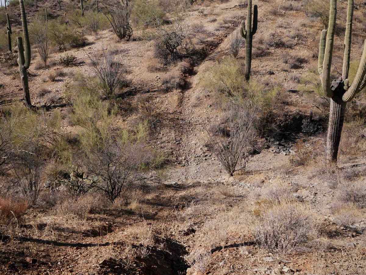 31041 trail photo