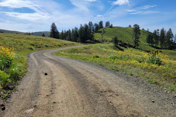 NR 019 - Bear Creek Saddle