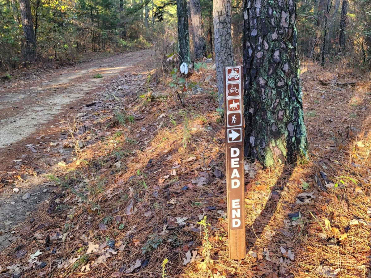 Bouncing on Poteau trail photo