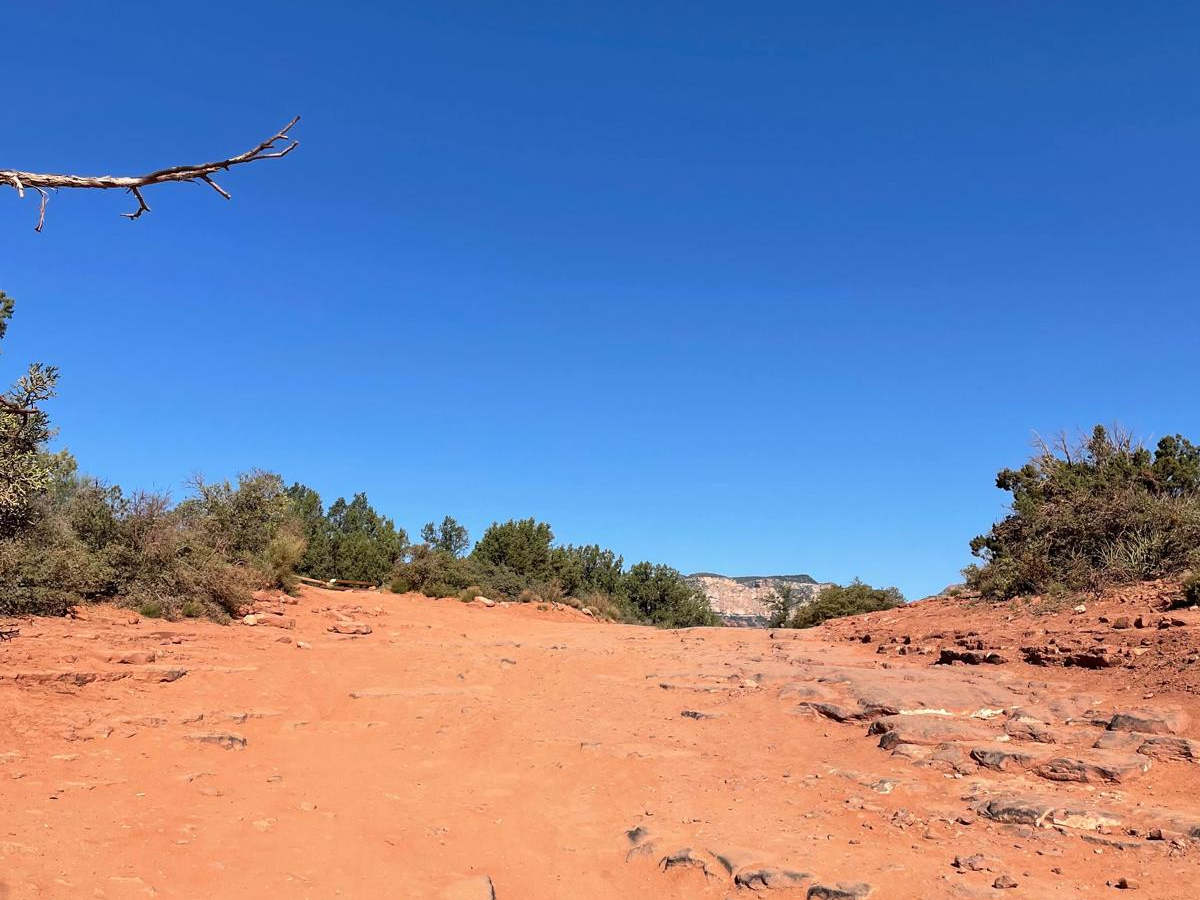 Road to Devil's Bridge & Van Deren Cabin photo 6