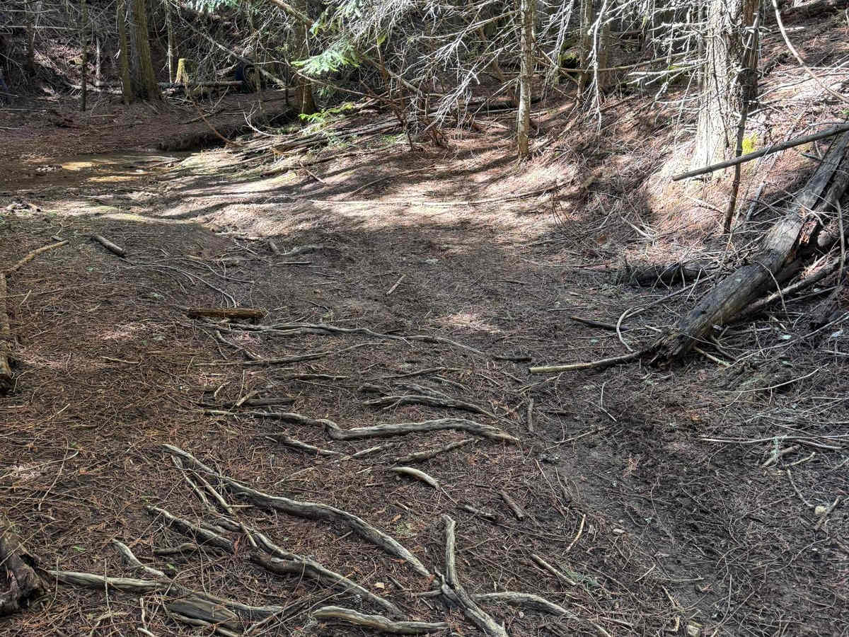 Korth Trail photo 6