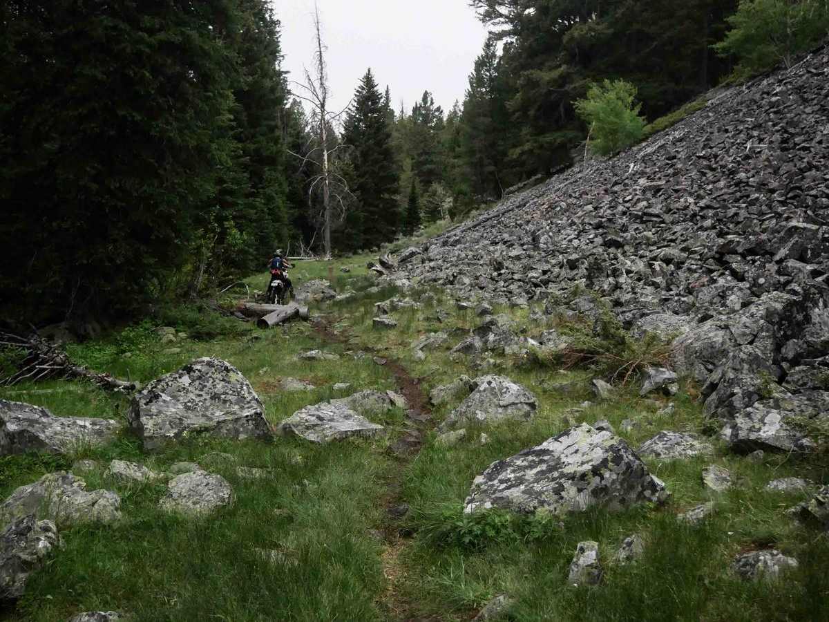 Trail Creek photo 2