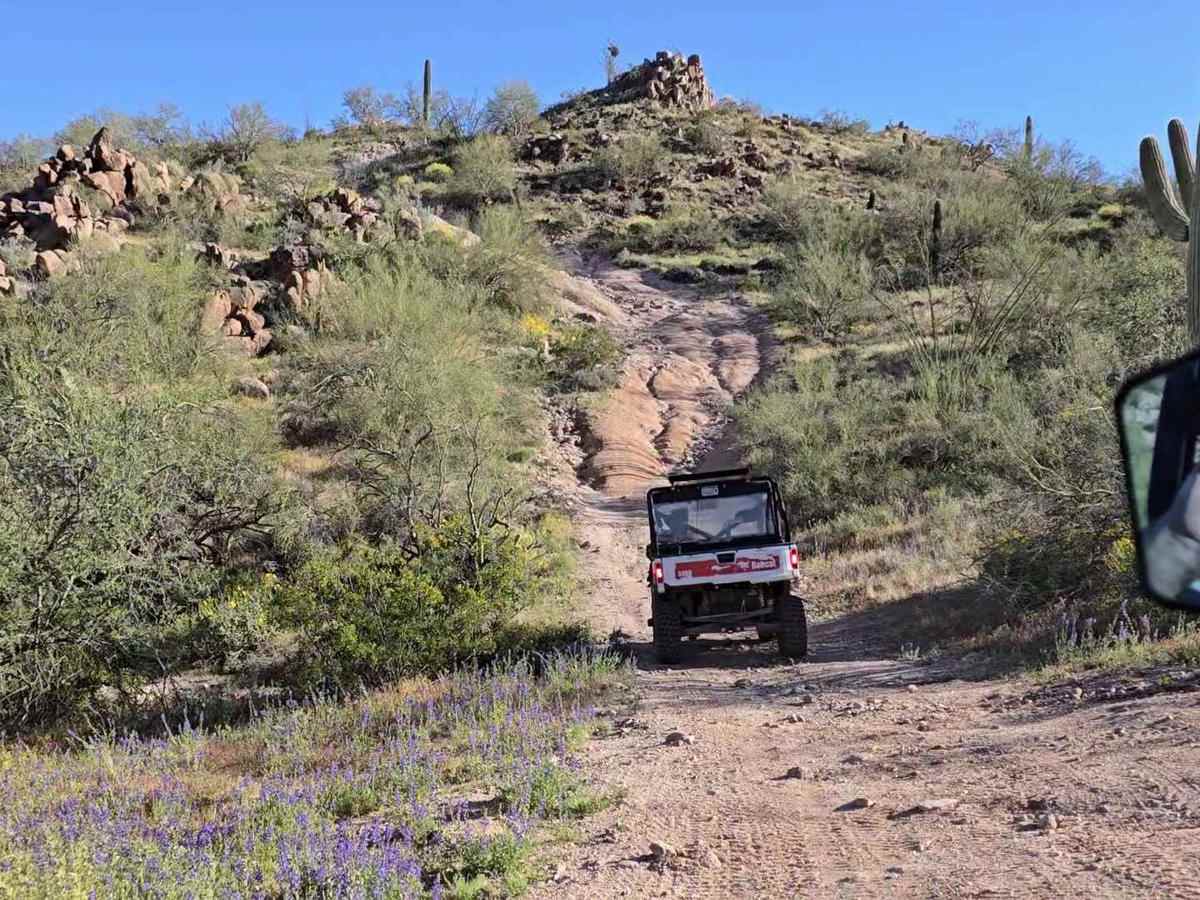 Helix Hill Climb photo 2