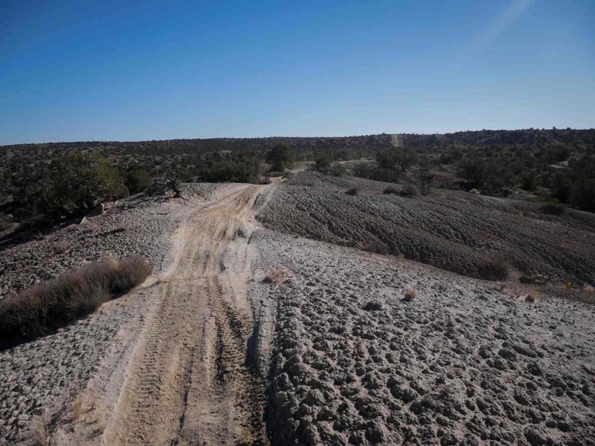 Mini Ridge Singletrack photo 3