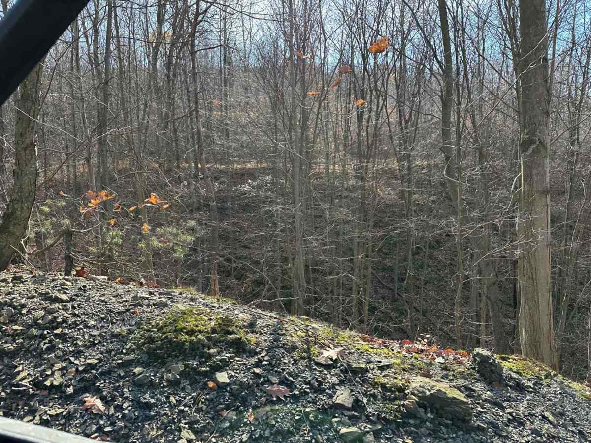 Ashland 156 trail photo