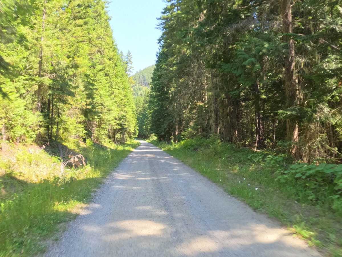 Moore Lake-St.Regis photo 6