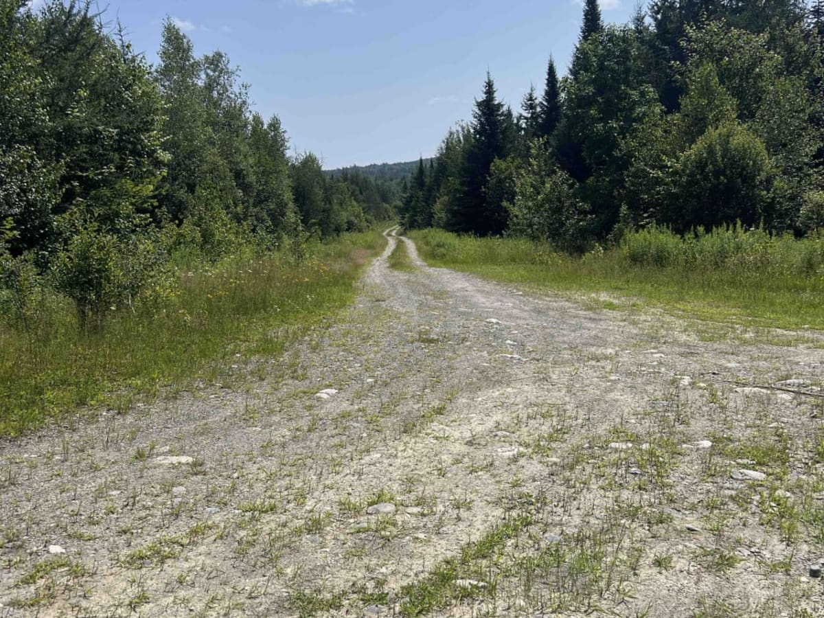 Scott Road photo 6