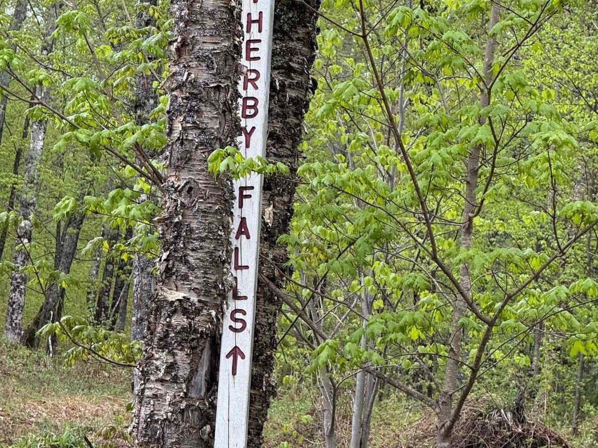 Lower Letherby Falls to Mount Arvon Overlook trail photo