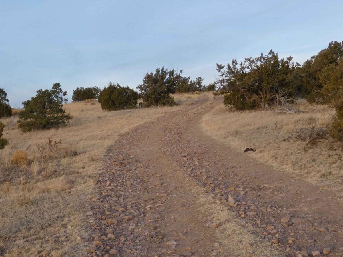 Gallinas Palisade photo 5