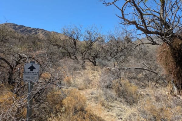 Brown Canyon Trail