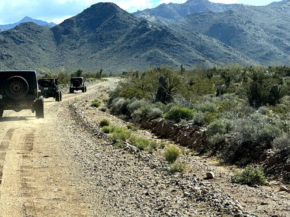 Walnut Creek to Survivalist Camp Trail trail photo