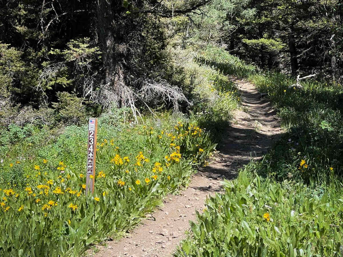 Twin Creek photo 5