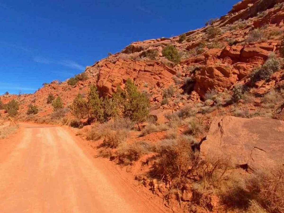 House Rock Valley Road North (Utah) photo 4