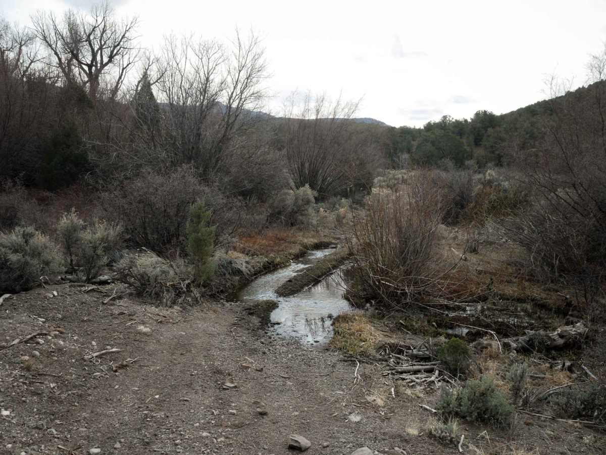 Bull Rush ATV Trail photo 2