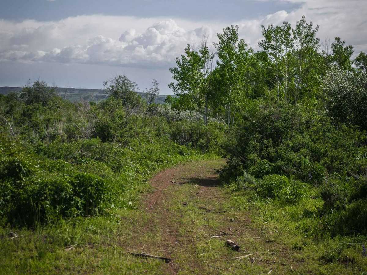Electric Spring ATV photo 6