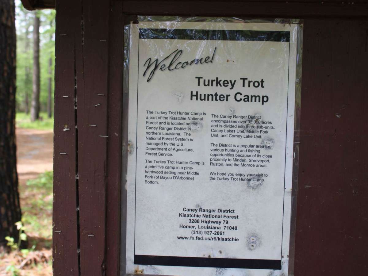 Turkey Trot in the Kisatchie trail photo