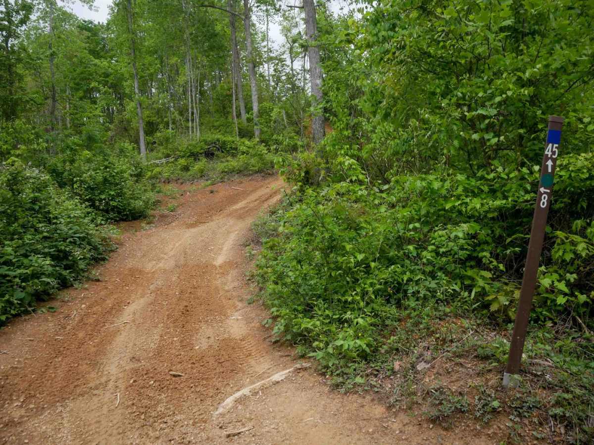OP 45 trail photo