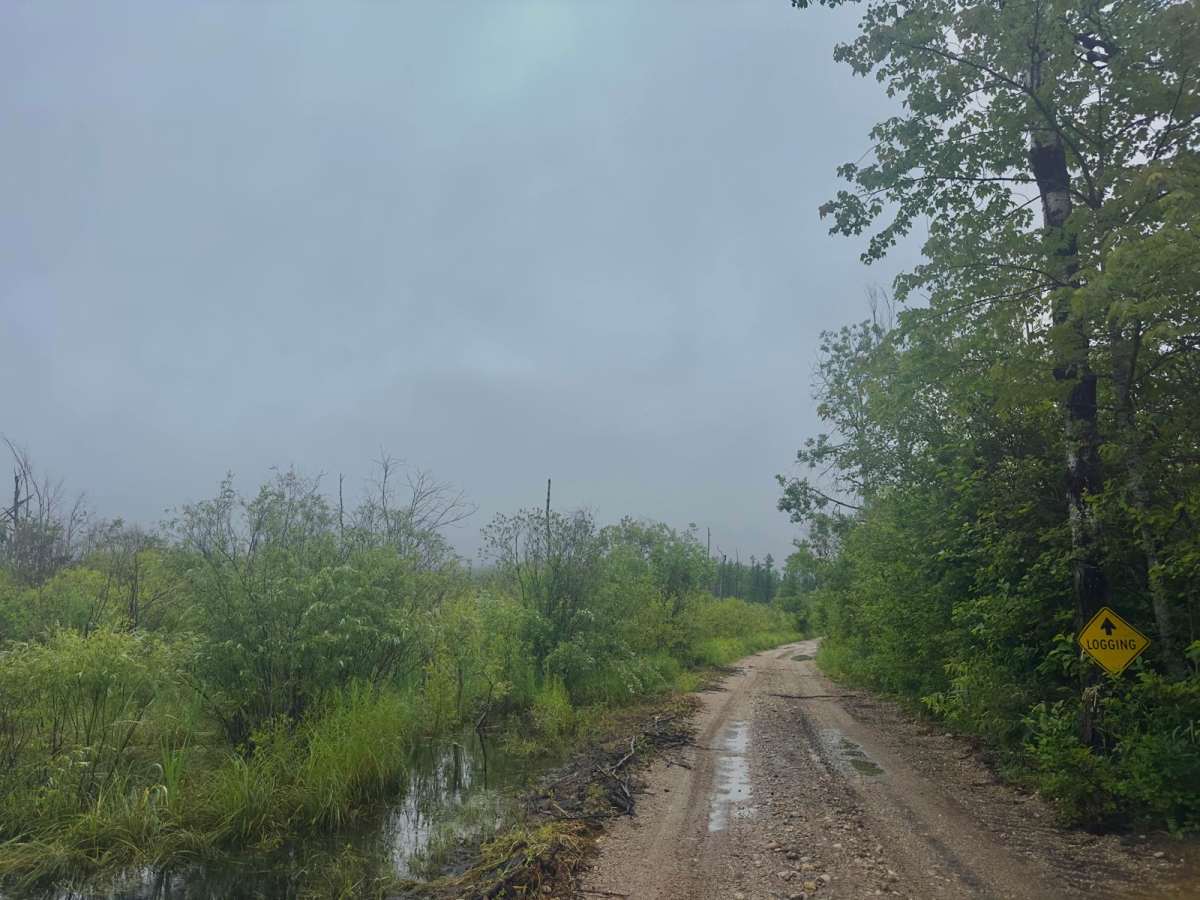 Jordan River Road photo 3