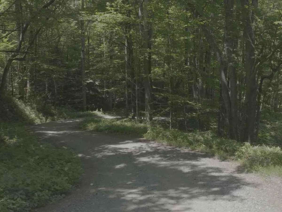 South Toe River photo 2