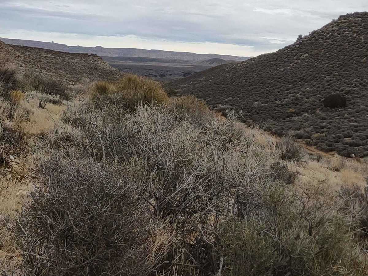 West Mesa Cut-Across photo 6