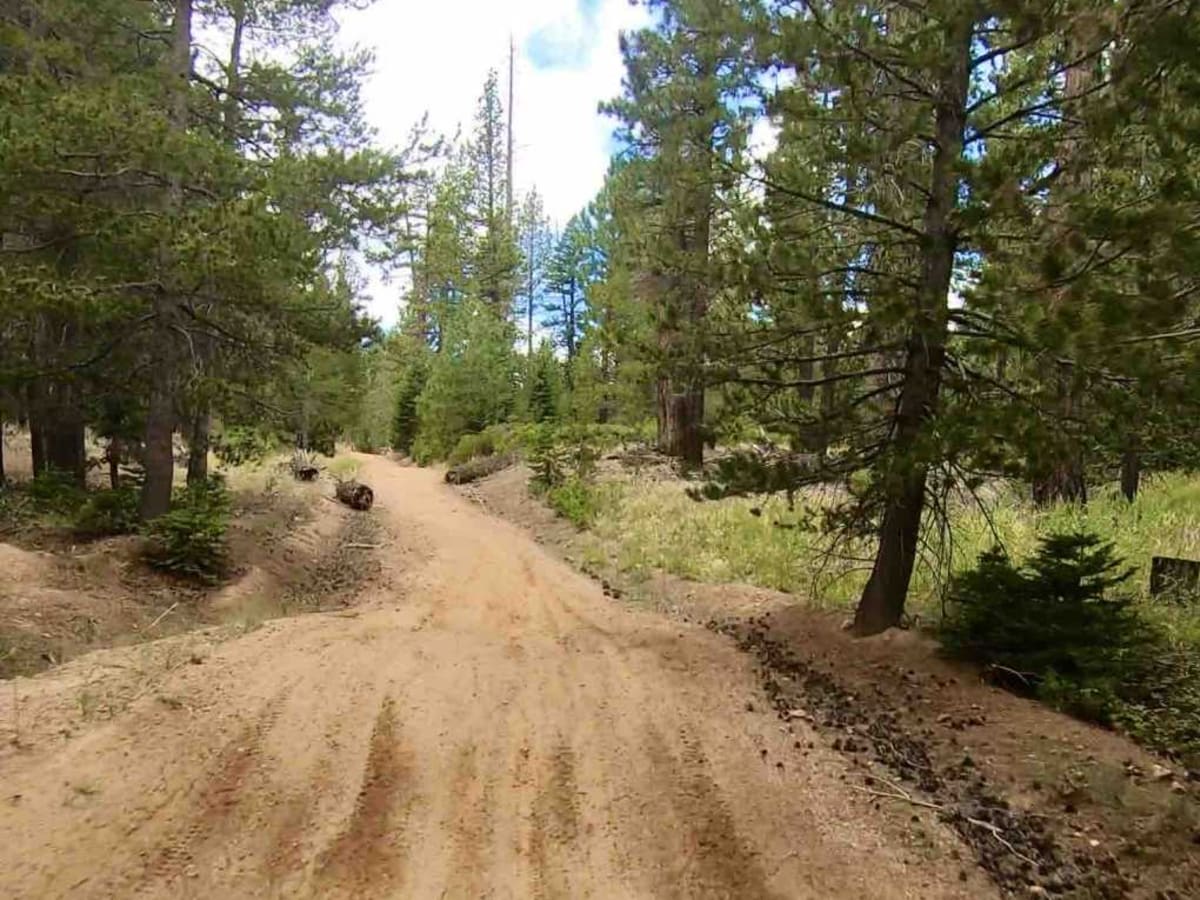 Sam Lewis photo 6