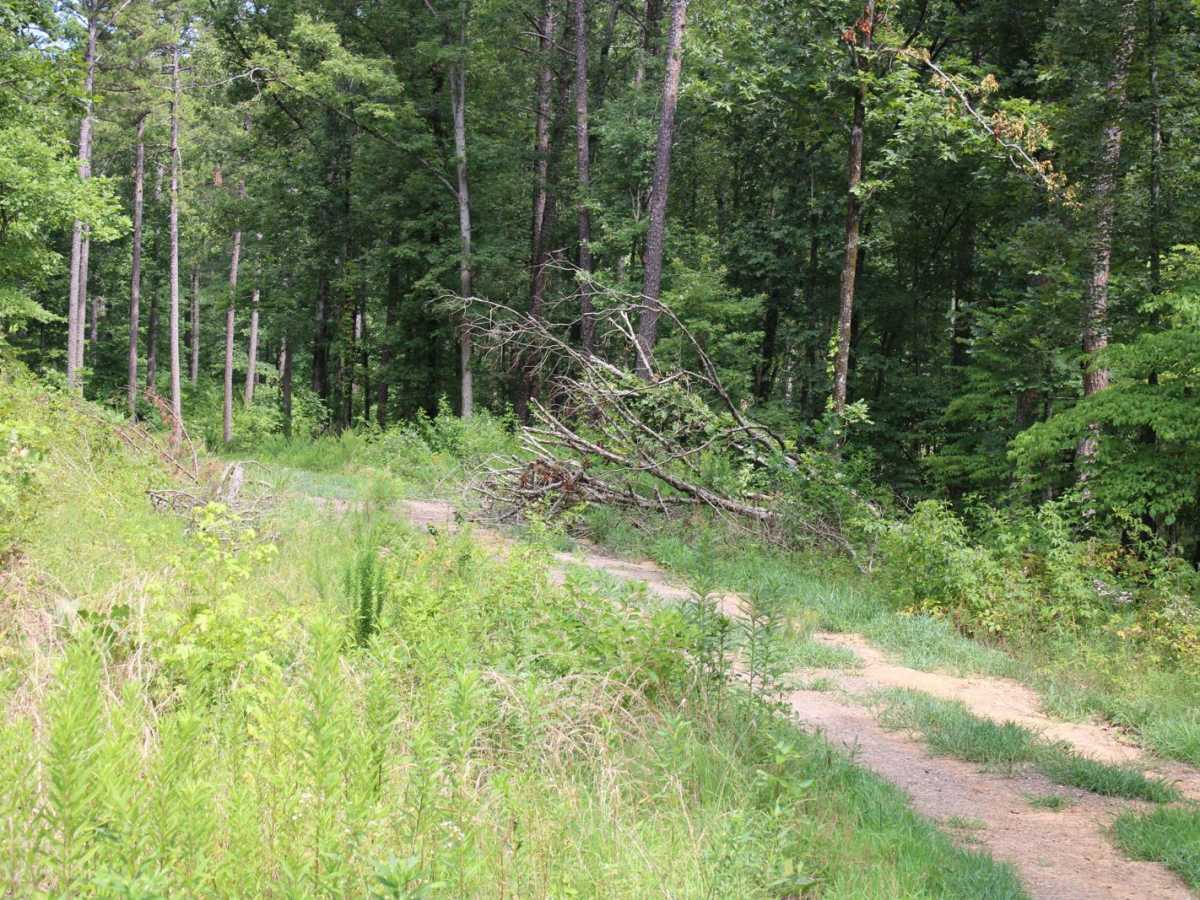 Danville Mountain photo 3