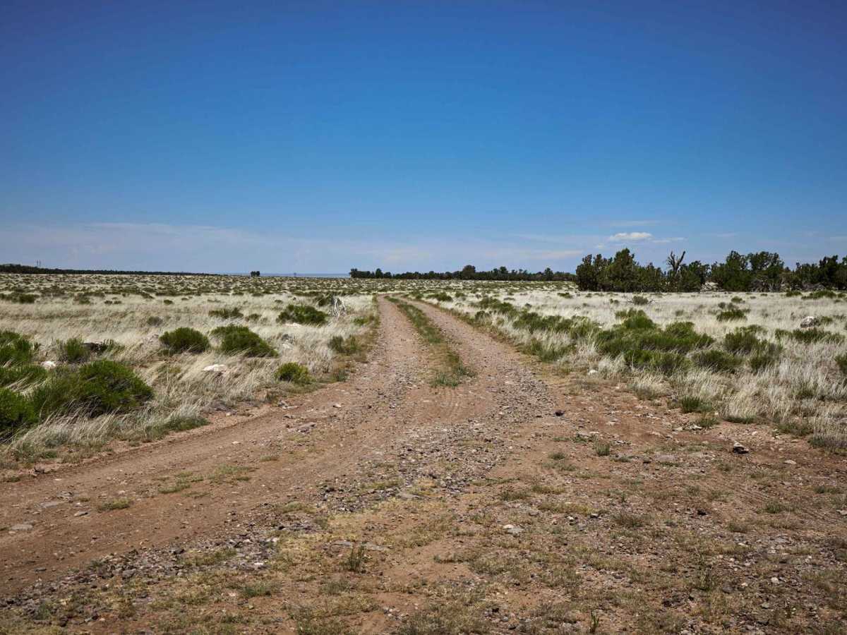 FR 2020 trail photo