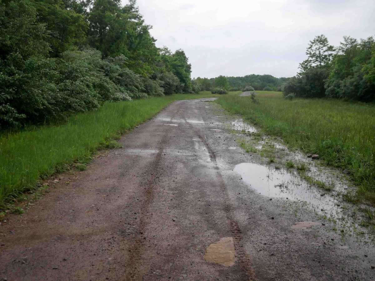 CC8 photo 3