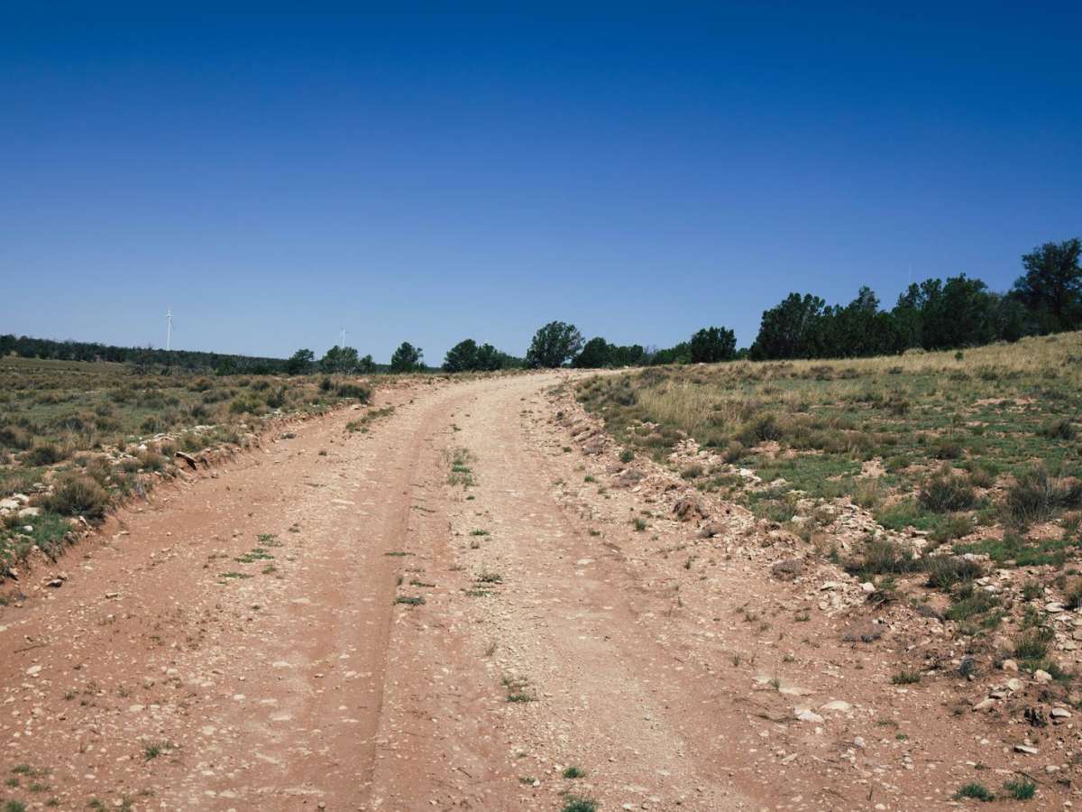 Pasture Pass photo 6