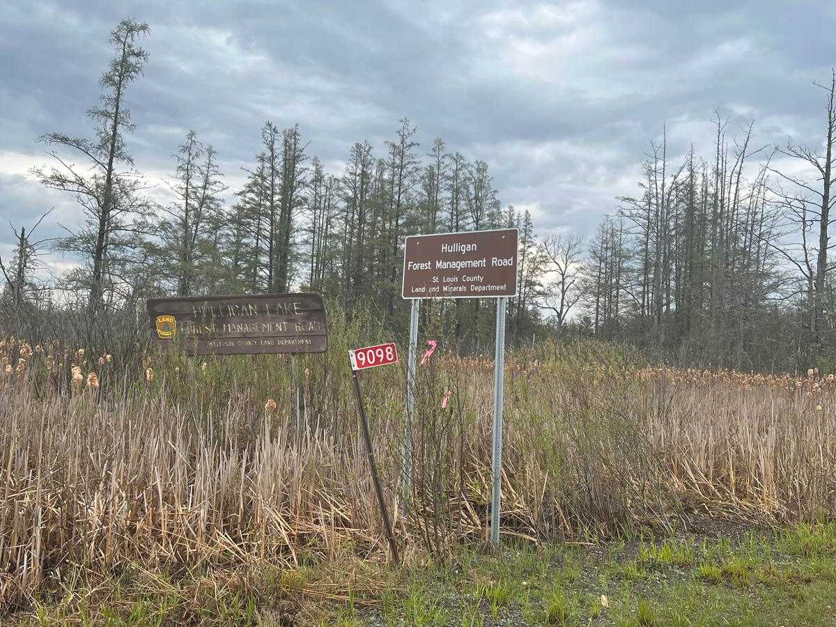 Hulligan Lake & Carol Truck Trail trail photo
