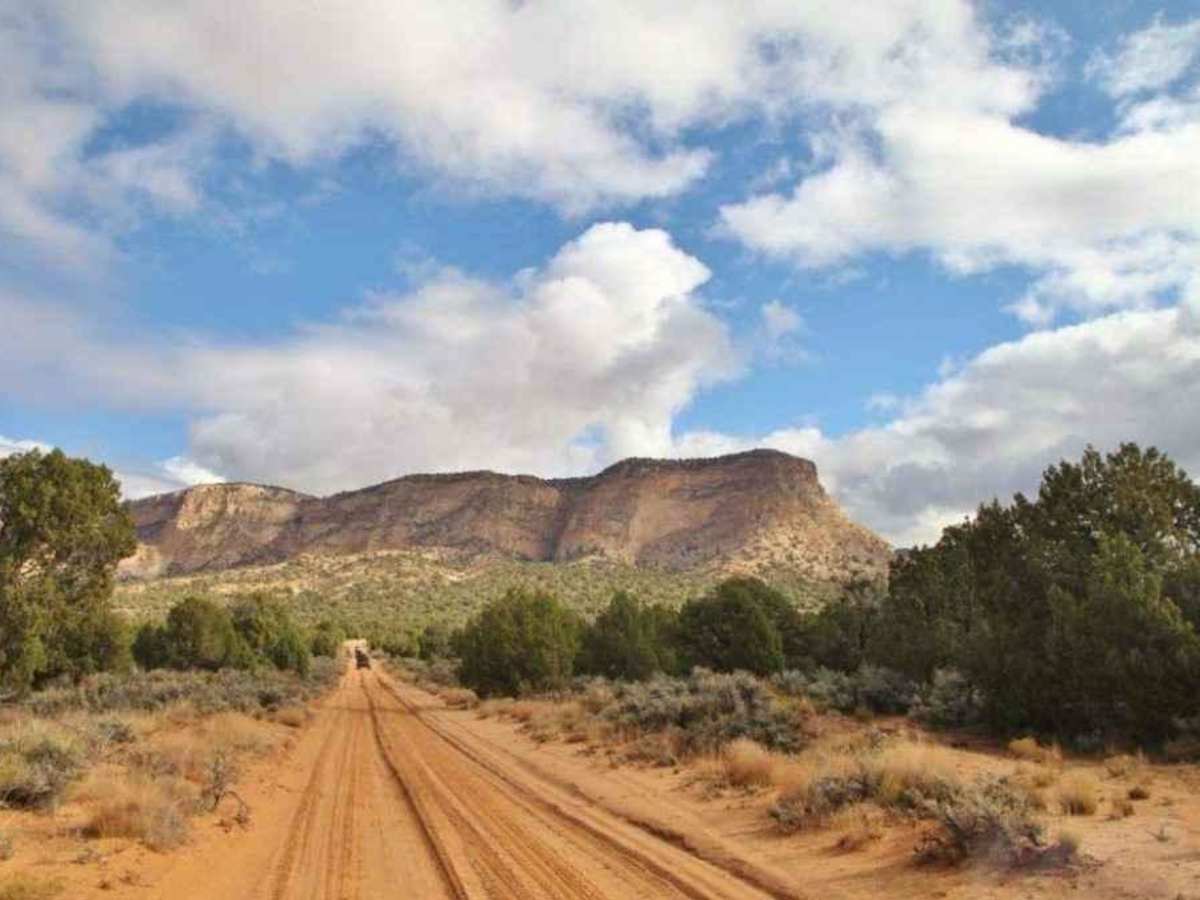 Nephi Pasture Road BLM556-K3600 trail photo