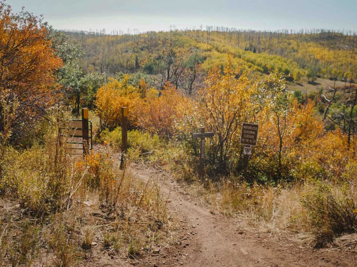 Milepost One Trail photo 4