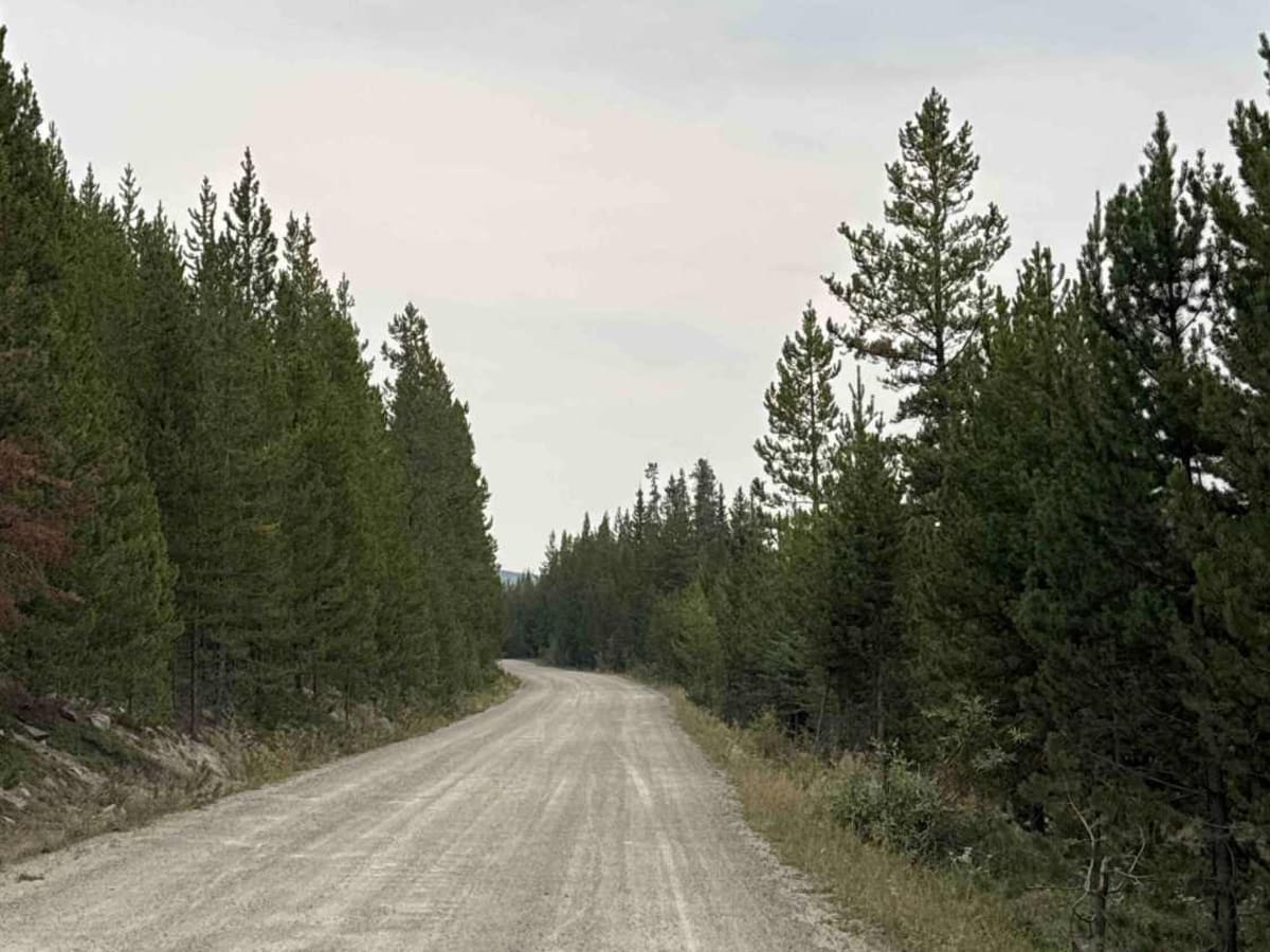 Pannask Lake Road trail photo