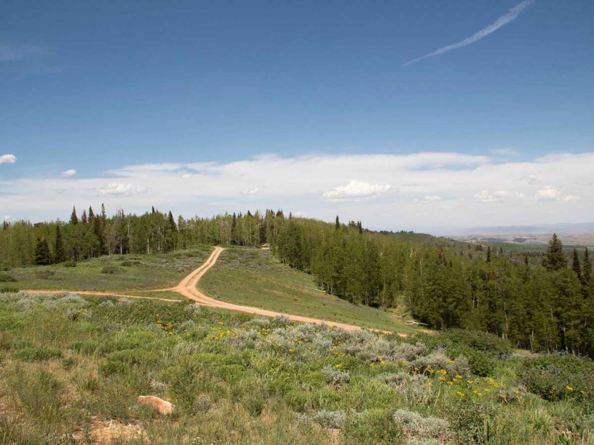 Mount McKinnon trail photo