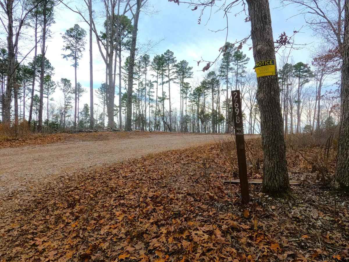 Snapps Hollow - FS 2698 trail photo