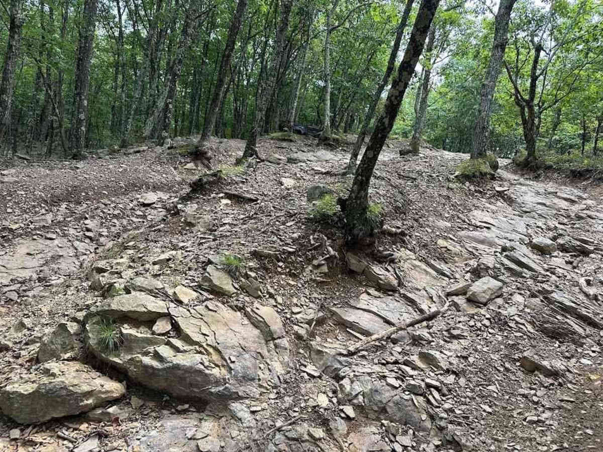 40 Green - B trail photo