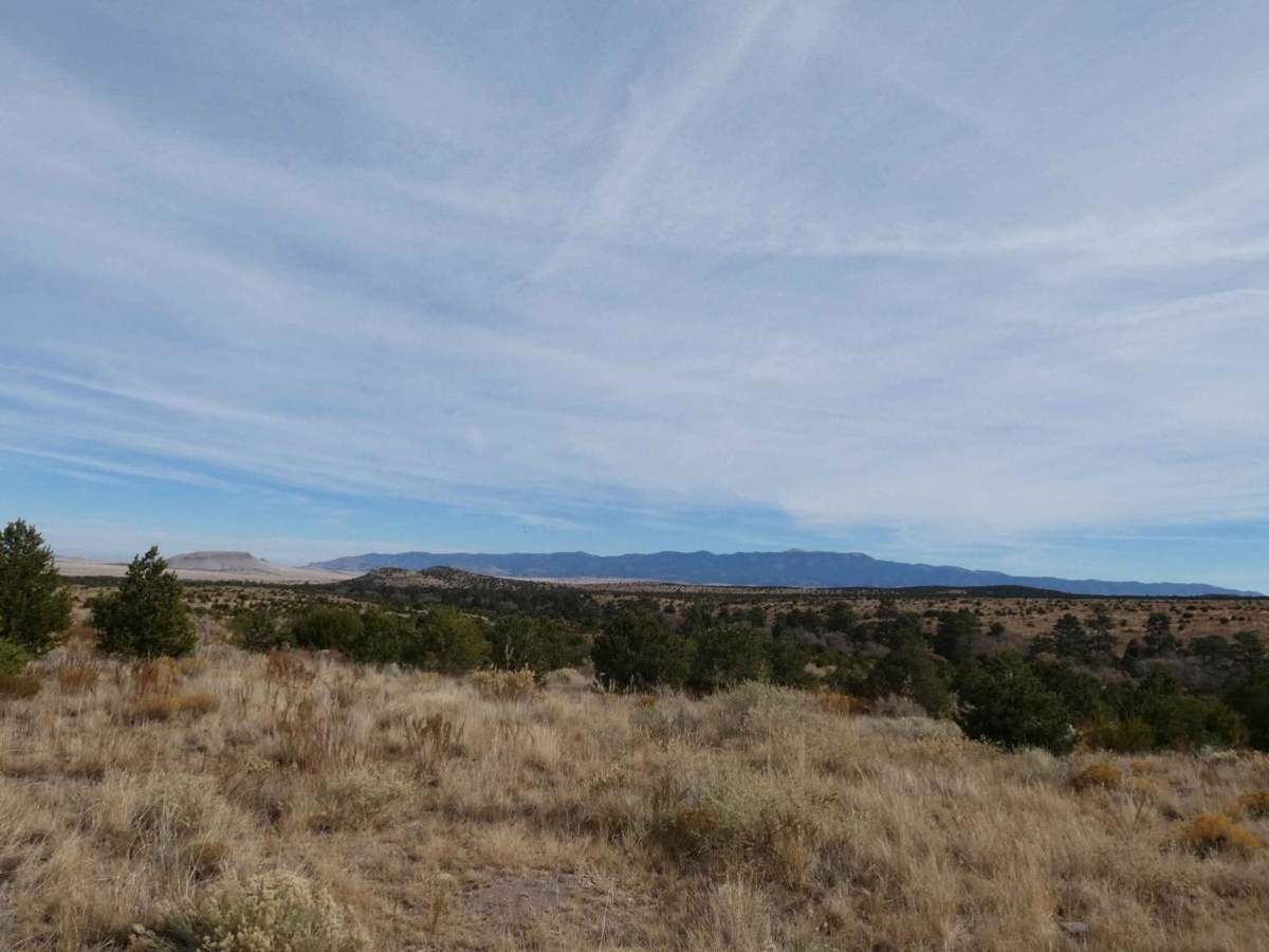 Little Rosa Base trail photo