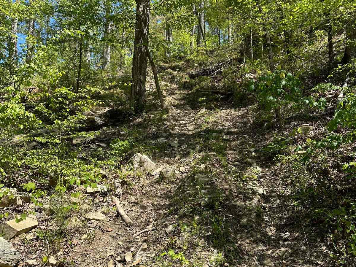 Trail 34 Grizzly Hill photo 5