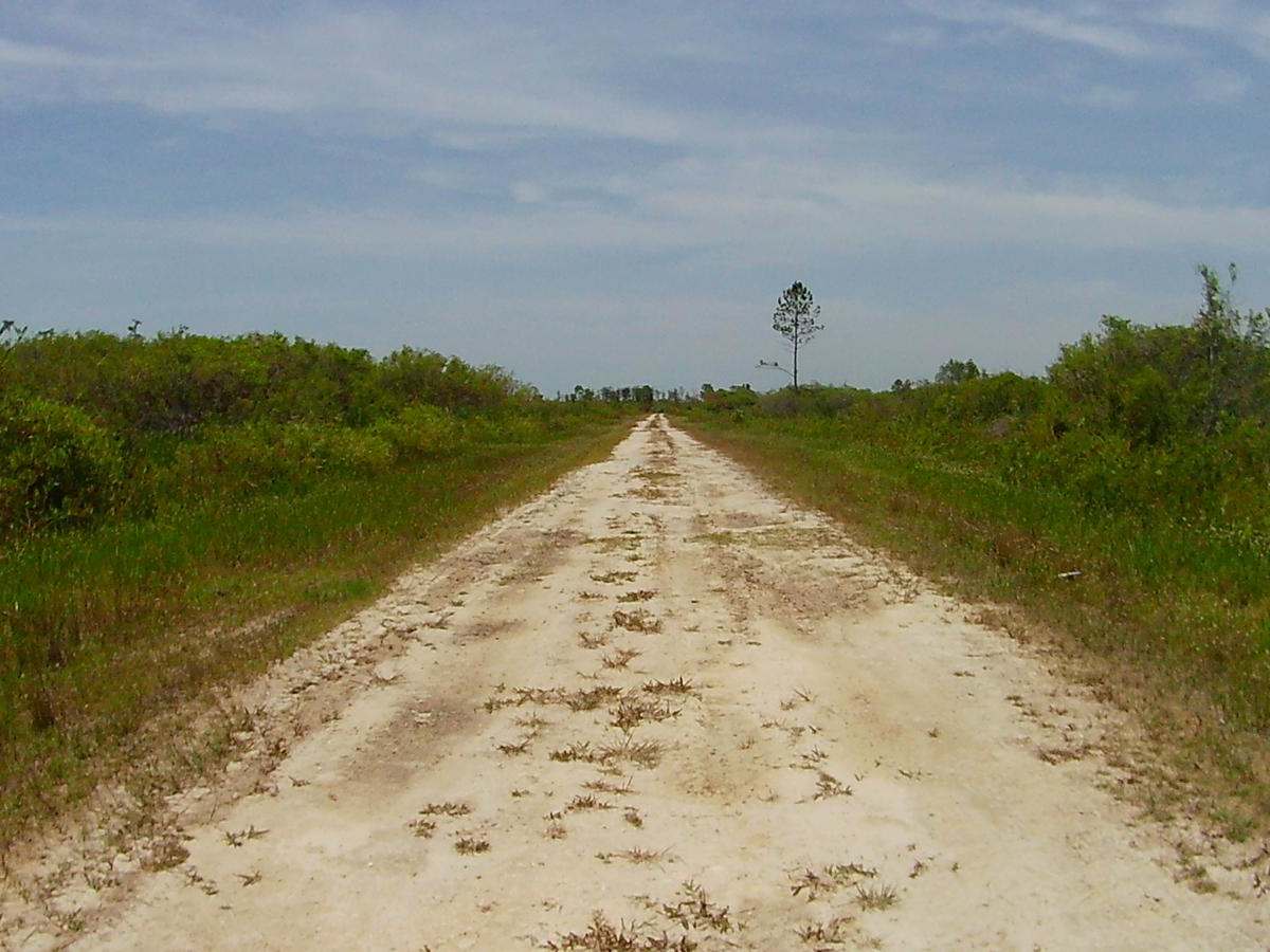Sandy Road trail photo