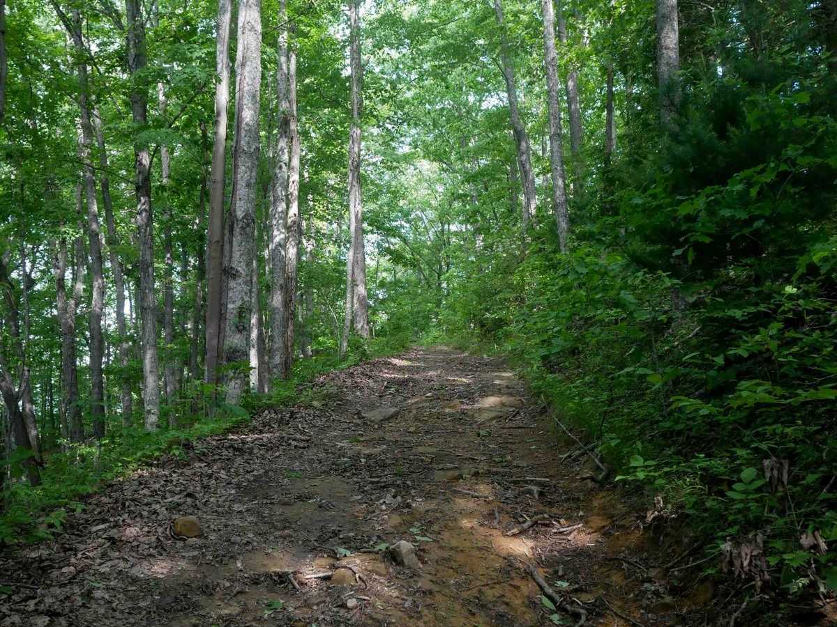 RV31 photo 6