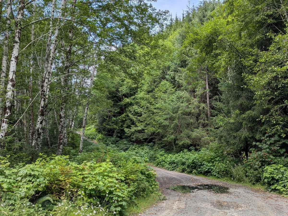 Hathaway 500 trail photo