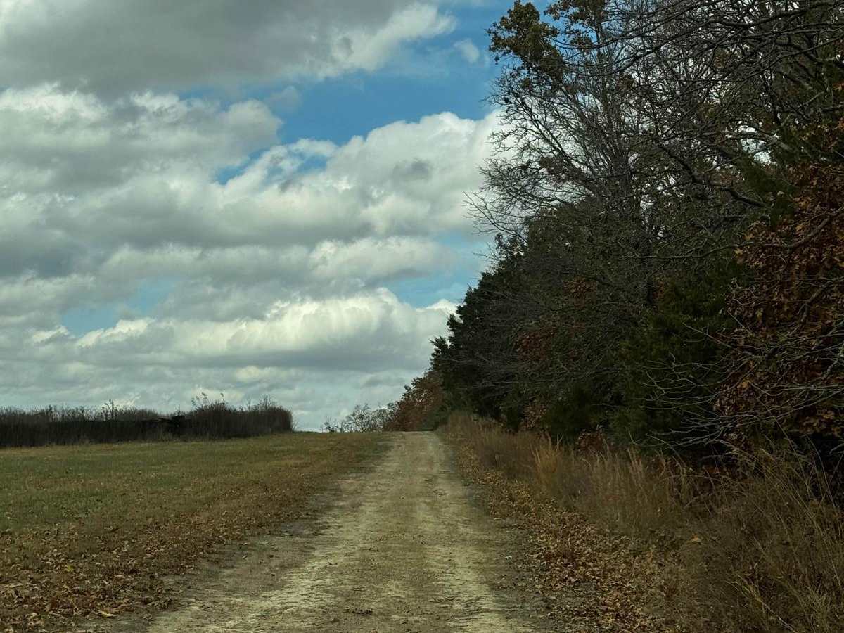 Turkey trail photo