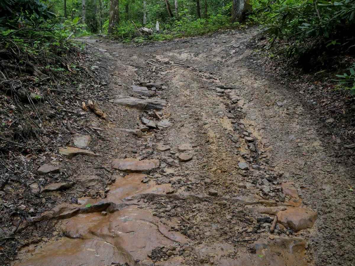 OP 100 trail photo