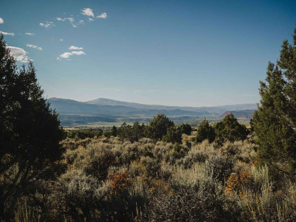 North Porcupine Trail photo 4