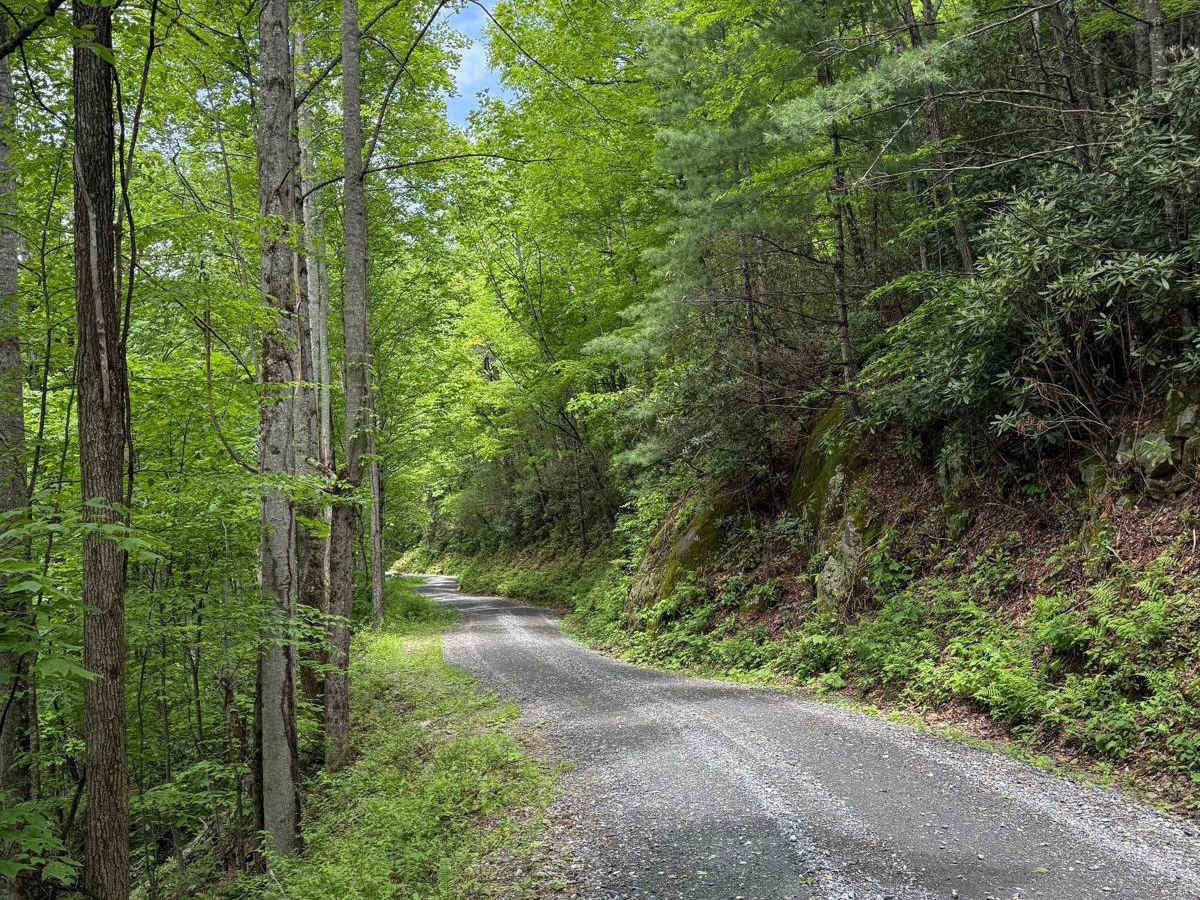 Wolf Creek Road photo 2