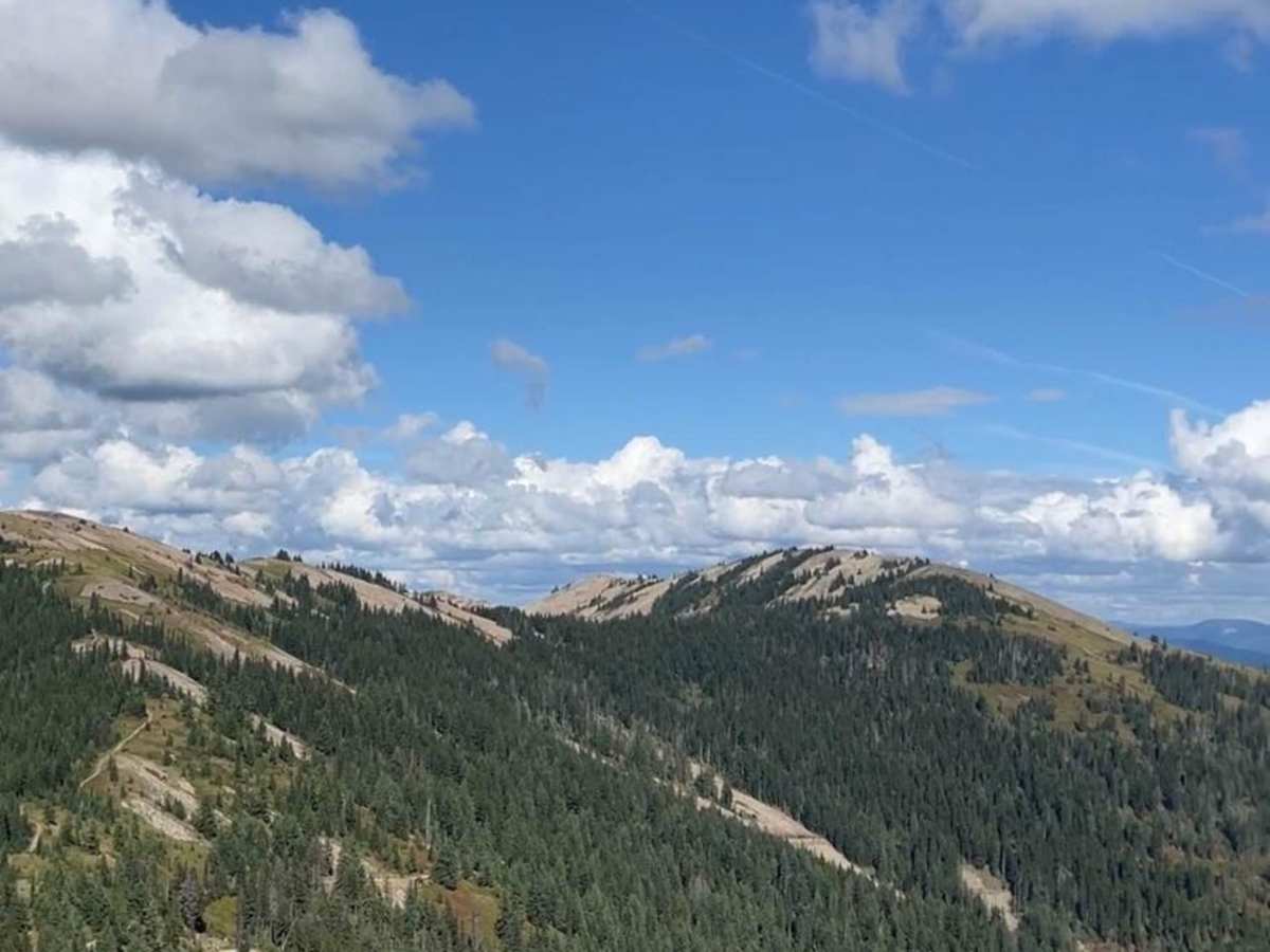 Saint Joe Baldy trail photo